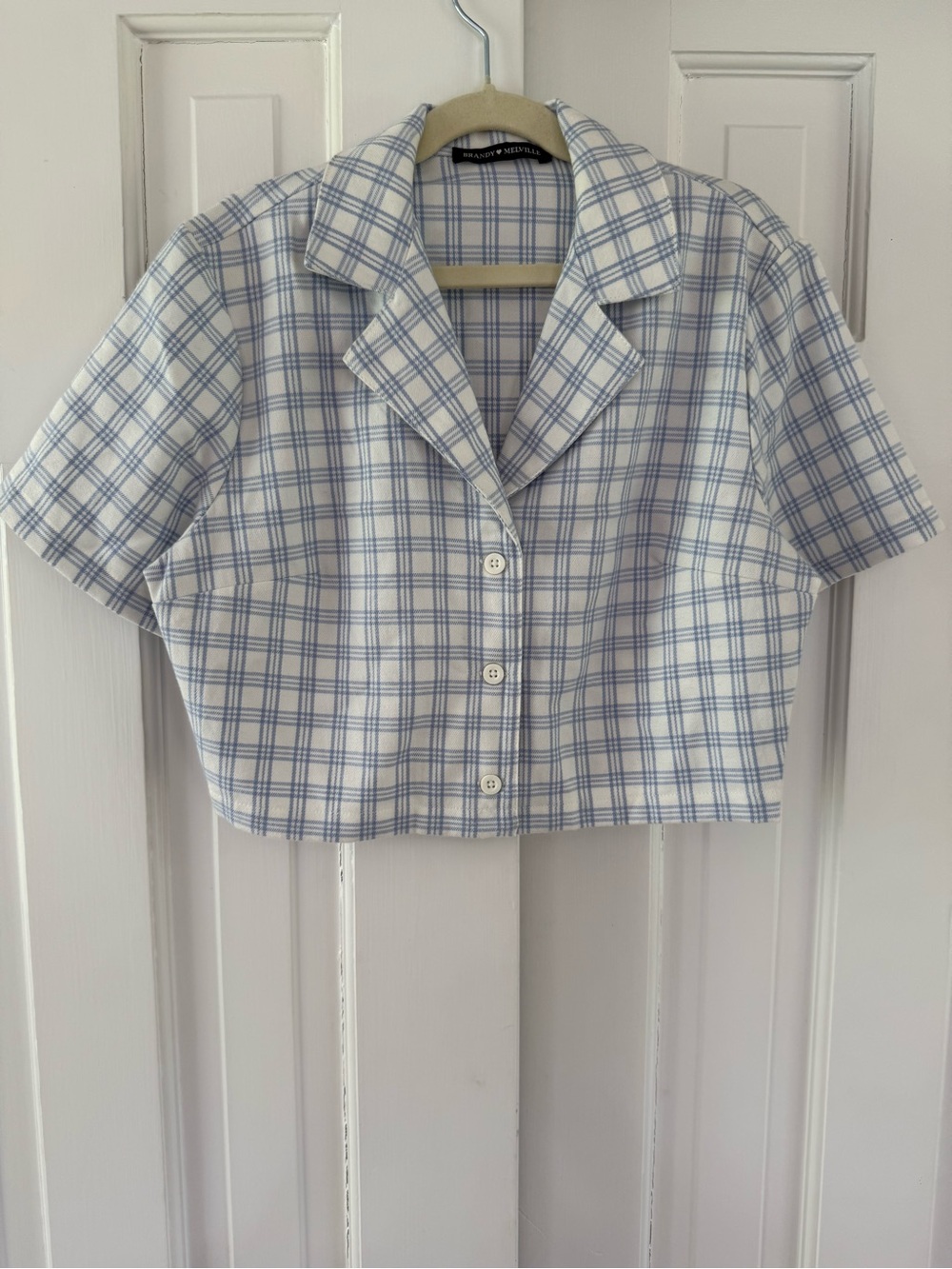 Brandy Melville Blue & White Plaid Cropped Button Front Top